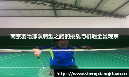 南京羽毛球队转型之路的挑战与机遇全景观察